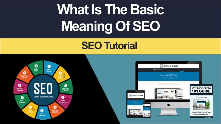 What Is The Basic Meaning Of SEO (Step By Step Tutorial)