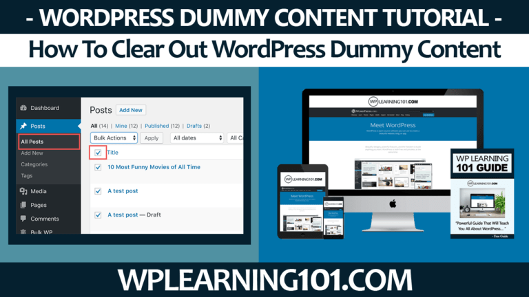 Clearing Out WordPress Dummy Content (Step By Step Tutorial For Beginners)