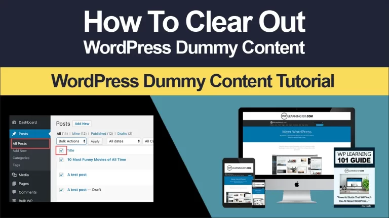 Clearing Out WordPress Dummy Content (Step By Step Tutorial For Beginners)