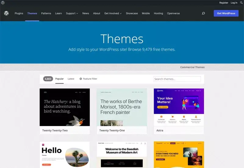 Choosing a WordPress Theme for Your Landing Page
