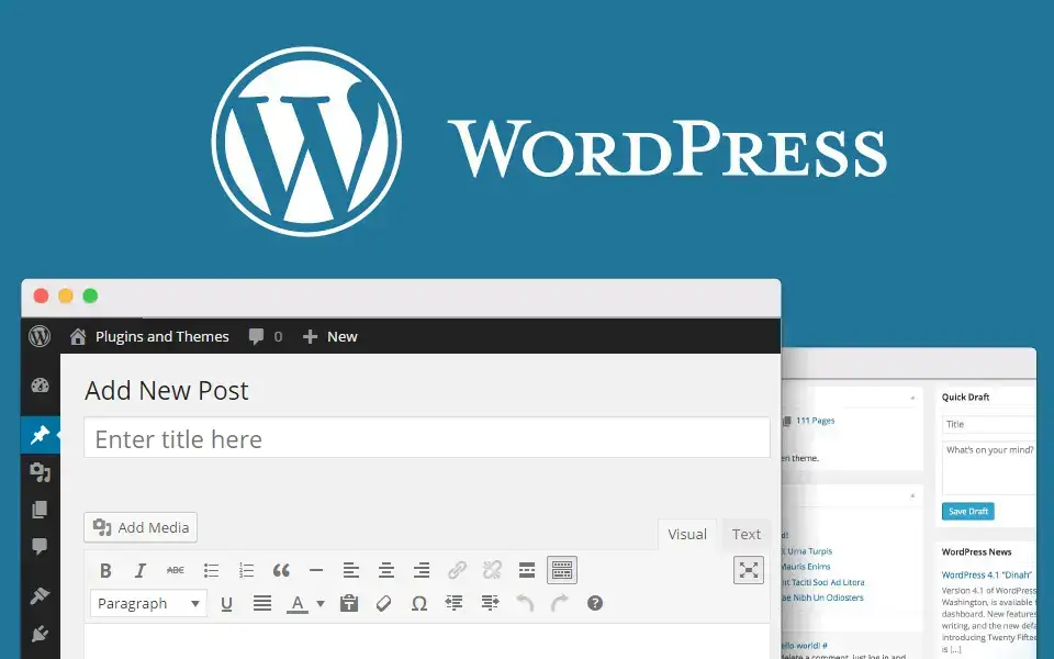 What are WordPress Posts