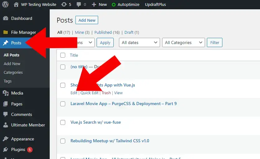 Editing and Updating WordPress Posts