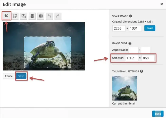 How to Crop and Edit a Featured Image In WordPress