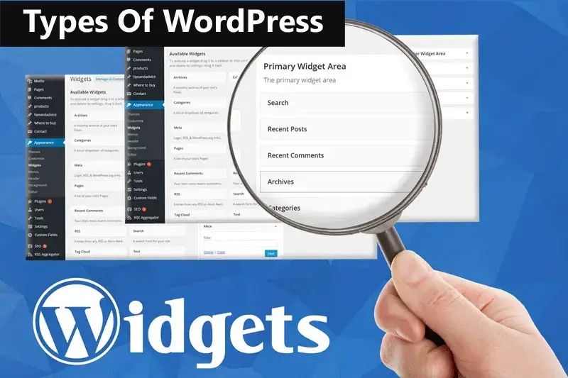 Types of WordPress Widgets